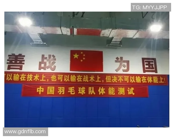 重庆羽毛球队整体压制打法深度分析与战术解读