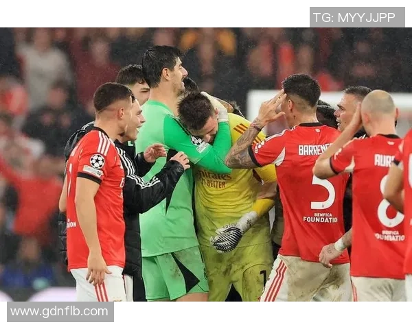 欧冠激战本菲卡与那不勒斯握手言和补时进球引发全场狂欢 欧冠激战本菲卡与那不勒斯握手言和补时进球引发全场狂欢